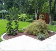 Kosten Gartengestaltung Neu Garten Anlegen Modern Best 39 Luxus Vorgarten Anlegen