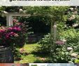 Kreative Gartengestaltung Genial Kleiner Garten 60 Modelle Und Inspirierende Designideen
