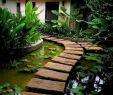 Kreative Gartenideen Selber Machen Frisch 62 Beautiful Backyard Ponds and Water Feature Landscaping