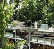 Kreative Ideen Garten Luxus Garten Landschaftsbau Gehalt