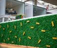 Landschaftsgestalter Elegant Twinkles Green Wall & Designer Furniture