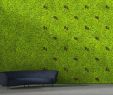 Landschaftsgestalter Genial Twinkles Green Wall & Designer Furniture