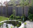 Leiter Deko Garten Inspirierend 27 Elegant Moderner Sichtschutz Im Garten Neu