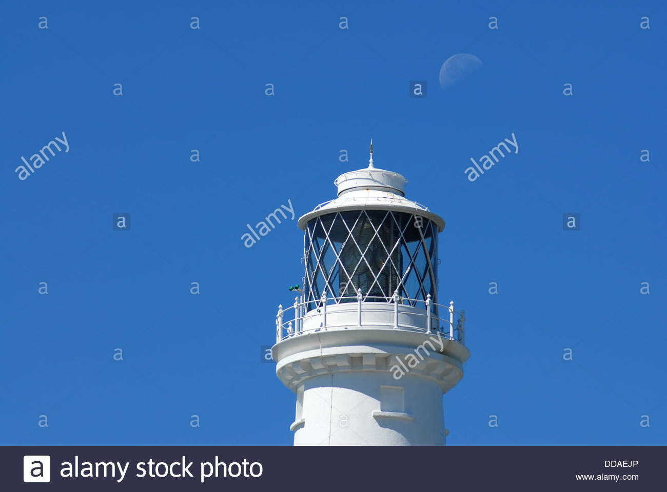 oberen teil des south stack leuchtturms auf anglesey in wales mit einem reinen blauen wolkenlosen himmel wie ein halbmond nicht hinzugefugt ddaejp