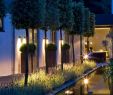 Licht Deko Garten Elegant Pin Von Laluce Licht&design Chur La Luce Auf Royal
