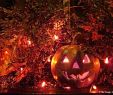 MÃ¤nner KostÃ¼m Halloween Genial Life In Salem Ma at Halloween