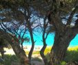 Maritime Gartengestaltung Inspirierend Pefkoulia Beach Lefkada Greece