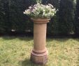 Mediterrane Gartendeko Neu Tall English Terracotta Chimney Pot Planter Pedestal