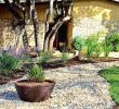 Mediterranen Garten Anlegen Elegant 29 Frisch Garten Mediterran Gestalten Reizend