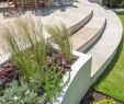 Mediterraner Garten Inspirierend Mittelgroße Gartengestaltung In Wandsworth 2