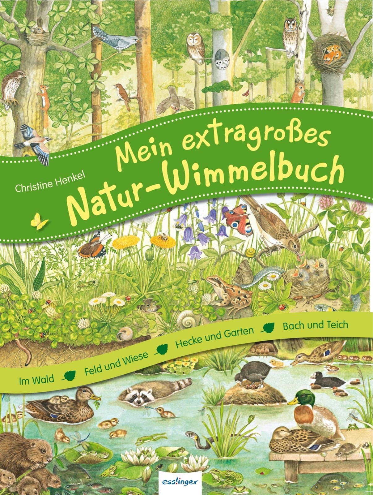 Mein Garten Schön Mein Extragroßes Natur Wimmelbuch Amazon