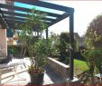 Mein Schöner Garten Sichtschutz Ideen Frisch Schöner Wohnen Tapete Das Beste Von 80 Schoner Sichtschutz