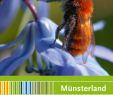 Metallkunst Garten Frisch Gartenkalender Muensterland 2018 by Münsterland E V issuu