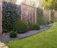 Mini Garten Selber Machen Genial 37 Das Beste Von Pflanzen Im Garten Luxus