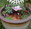 Mini Garten Selber Machen Inspirierend Resultado De Imagen Para Fairy Garden