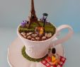 Miniatur Garten Deko Best Of Nice 50 Easy Diy Summer Gardening Teacup Fairy Garden Ideas