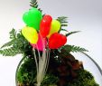 Miniatur Garten Deko Luxus Dekoration Mini Ballon Pflanze Fairy Puppenhaus Dekor Garten