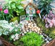 Miniatur Garten Deko Neu 8 Amazing Miniature Fairy Garden Diy Ideas Blumen