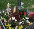 Miniatur Garten Deko Schön Die 274 Besten Bilder Von Fairy