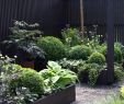 Miniatur Garten Selber Machen Best Of 31 Genial Kunstrasen Im Garten Einzigartig