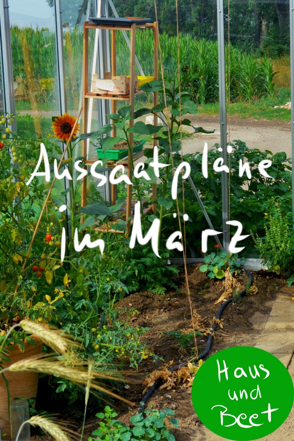 Miniatur Garten Selber Machen Elegant Die 137 Besten Bilder Von Pflanzen Und Garten
