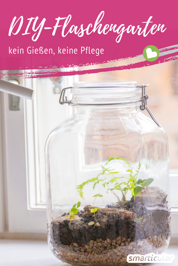 Miniatur Garten Selber Machen Luxus Ewiger Minigarten Im Glas so Gelingt Das Biotop Für Den
