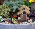 Miniatur Garten Selber Machen Luxus Mini Fairy Garden Collections Sitting Fairy Silhouette