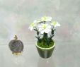 Miniatur Gartenaccessoires Neu Dollhouse Miniature Handcrafted Gardenia Plant by Artistic