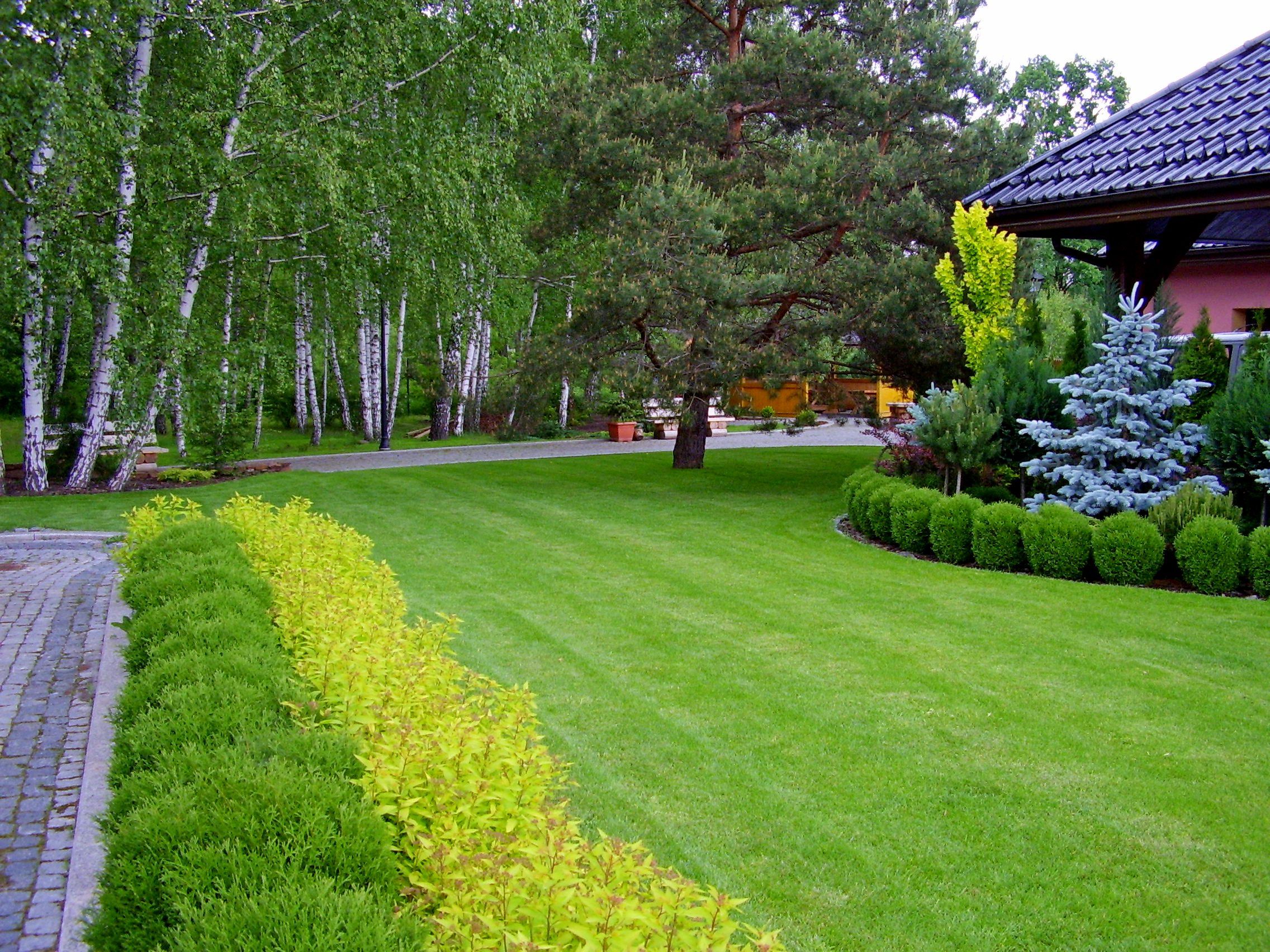 Moderne Gartenbepflanzung Elegant Ogrody Kielce Ogr³d Przydomowy W Otoczeniu Wiekoweg