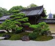 Moderne Gartengestaltung Ideen Frisch 36 Einzigartig Japanischer Garten Ideen Reizend
