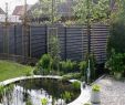 Moderne Gartengestaltung Ideen Schön Pin Von Birgit Huber Auf Garten