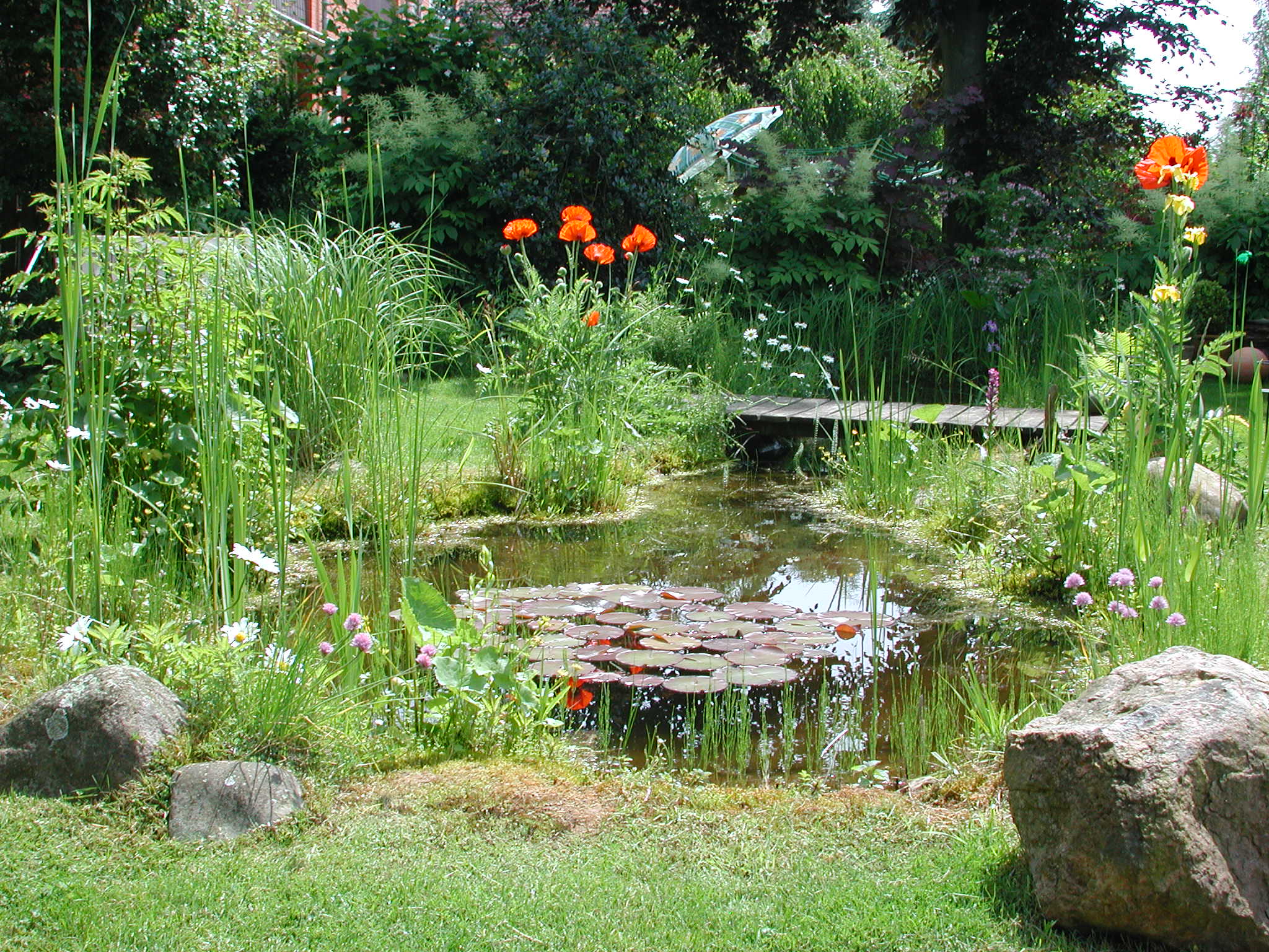Naturnaher Garten Anlegen Neu Teich –