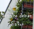 Naturnaher Garten Anlegen Schön ð Bio Balkon Kongress 2019 ð