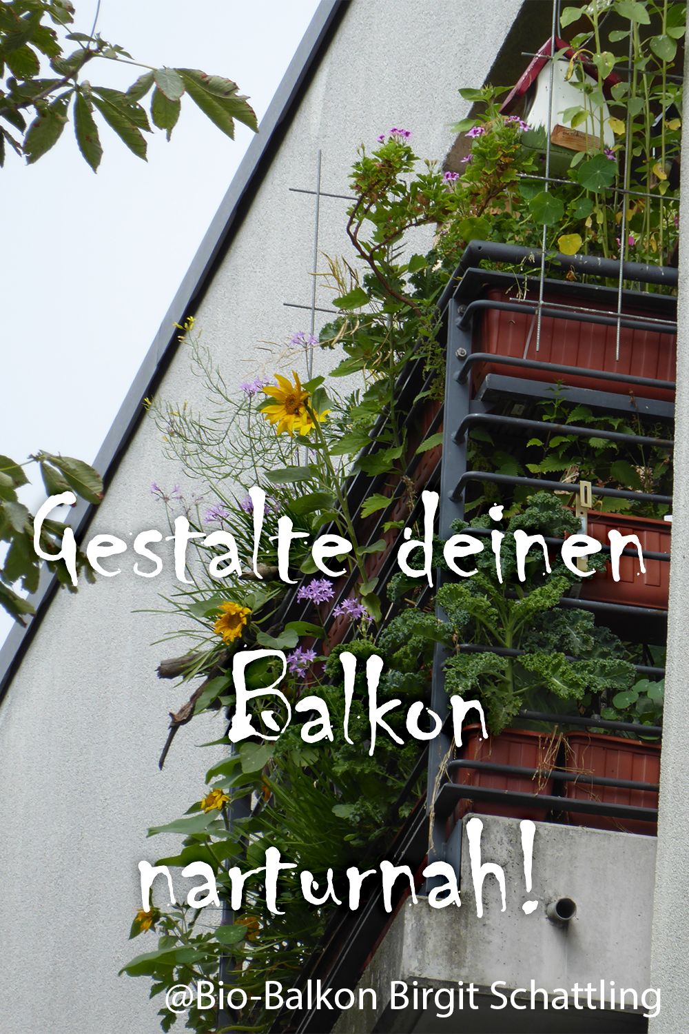 Naturnaher Garten Anlegen Schön ð Bio Balkon Kongress 2019 ð