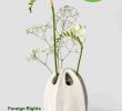 Naturnaher Garten Anlegen Schön Haupt foreign Rights Catalogue Spring 2018 by Haupt Verlag