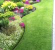 Naturnaher Garten Pflegeleicht Anlegen Best Of Die 426 Besten Bilder Von Außenanlagen