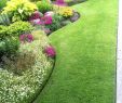 Naturnaher Garten Pflegeleicht Anlegen Best Of Die 426 Besten Bilder Von Außenanlagen