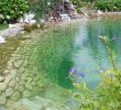 Natursteine Garten Schön Wasserfälle Biotope Teiche Gartengestaltung