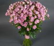 Online Shop Garten Einzigartig Bouquet Of 51 Spray Roses Happy Yo Yo at the Best