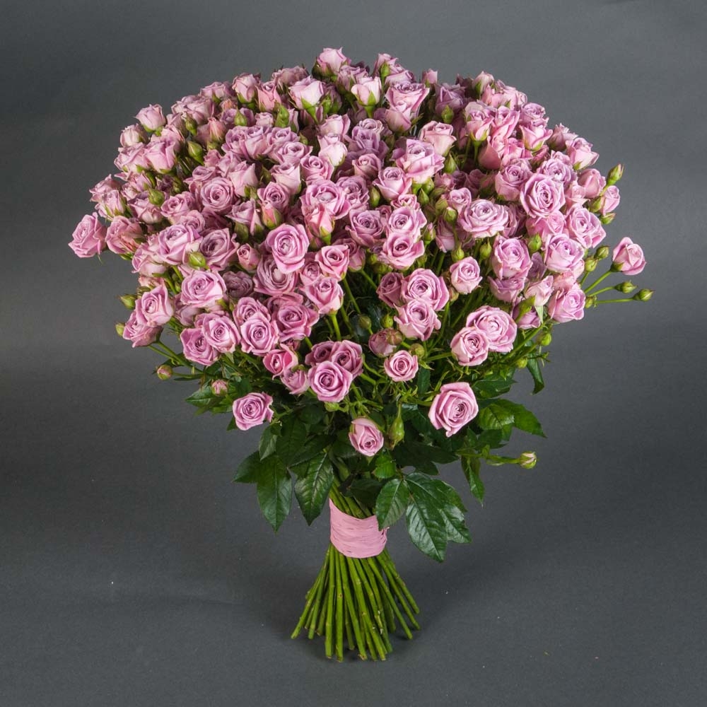 Online Shop Garten Einzigartig Bouquet Of 51 Spray Roses Happy Yo Yo at the Best