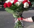 Online Shop Garten Genial 25 White and Red Carnations