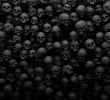 Originelle Halloween KostÃ¼me Best Of Skull Many Background Hd Wallpaper