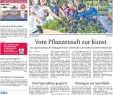 Otto Gartenkatalog Neu Delme Report Vom 15 07 2018 by Kps Verlagsgesellschaft Mbh