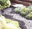 Pflegeleichte Pflanzen Garten Einzigartig Garden Walkways Unique 20 Best Hangbefestigung Steine Ideas