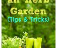 Pinterest Garten Inspirierend Versatile Herb Garden Design