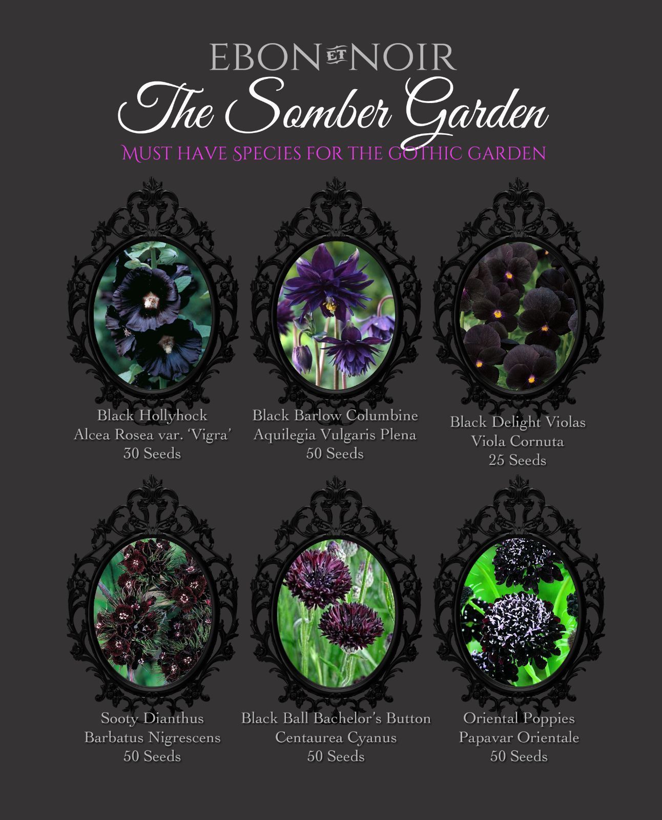 Pinterest Garten Schön Billedresultat for Gothic Garden Black Flowers Pinterest