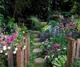 Pinterest Gartengestaltung Genial Best Diy Cottage Garden Ideas From Pinterest 32