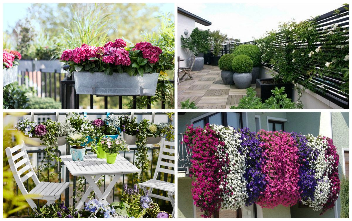 Pinterest Gartengestaltung Inspirierend Balkonsko CvijeÄe