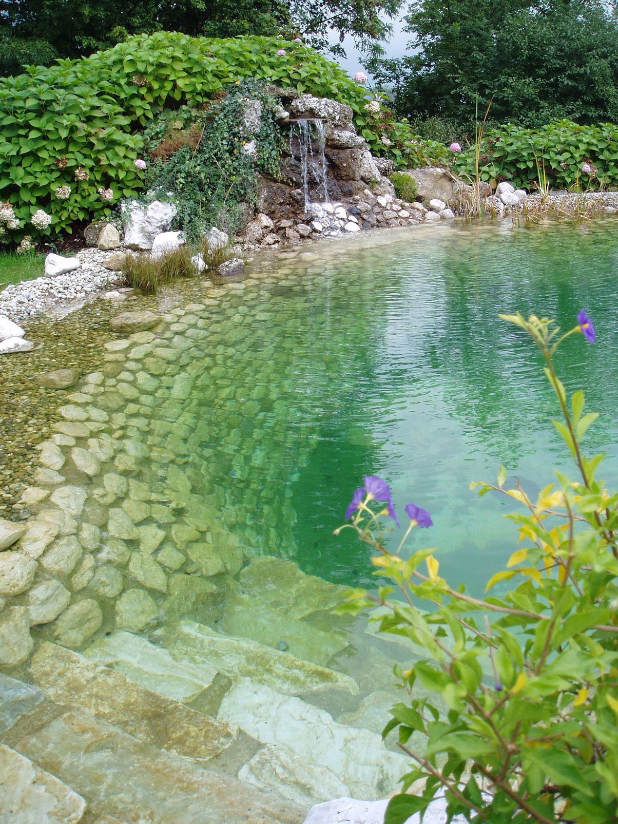 Pool Garten Gestaltung Schön Wasserfälle Biotope Teiche Gartengestaltung