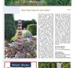 Quellsteine Im Garten Inspirierend Bad Rothenfelde Aktuell 03 2019 Simplebooklet
